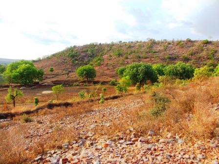 village,green valley